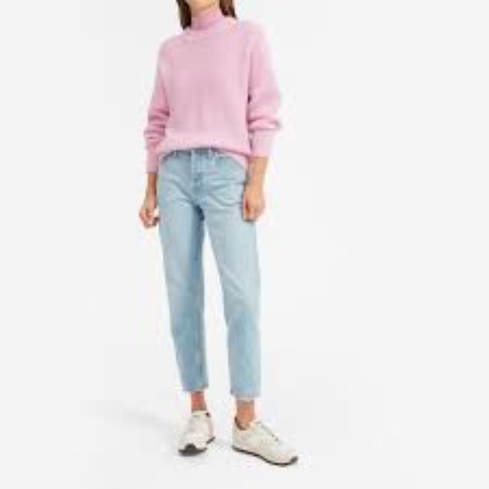 NWT Everlane Oversized Alpaca Crew Sweater Pink